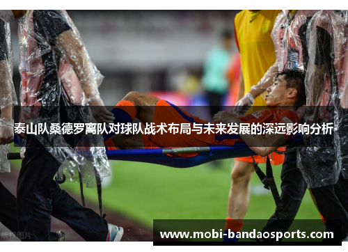 泰山队桑德罗离队对球队战术布局与未来发展的深远影响分析