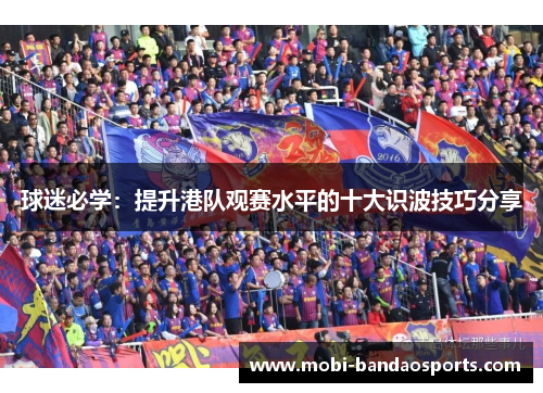 球迷必学：提升港队观赛水平的十大识波技巧分享