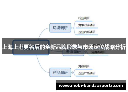 上海上港更名后的全新品牌形象与市场定位战略分析