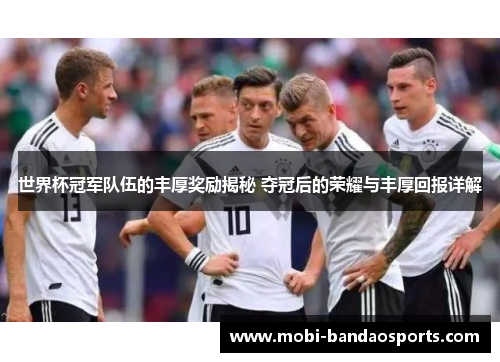 世界杯冠军队伍的丰厚奖励揭秘 夺冠后的荣耀与丰厚回报详解