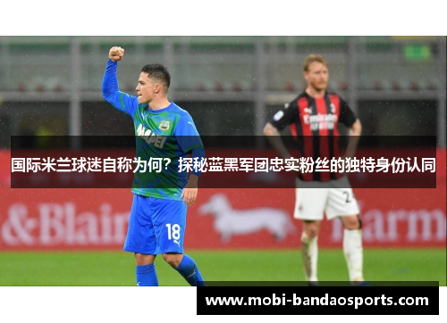国际米兰球迷自称为何？探秘蓝黑军团忠实粉丝的独特身份认同