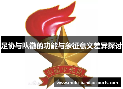 足协与队徽的功能与象征意义差异探讨