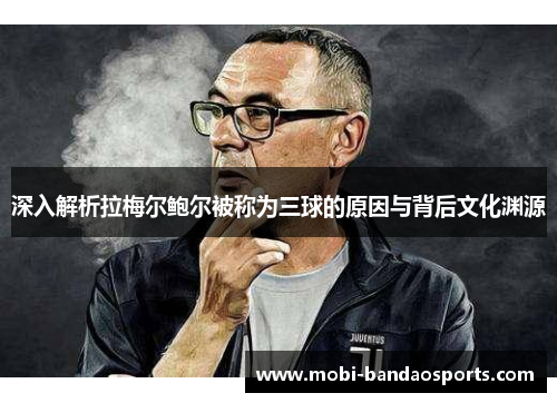 深入解析拉梅尔鲍尔被称为三球的原因与背后文化渊源