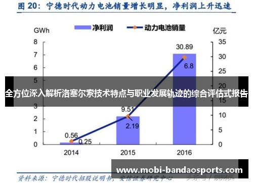 全方位深入解析洛塞尔索技术特点与职业发展轨迹的综合评估式报告