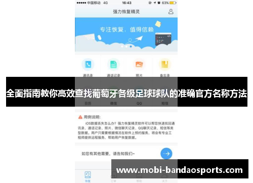 全面指南教你高效查找葡萄牙各级足球球队的准确官方名称方法