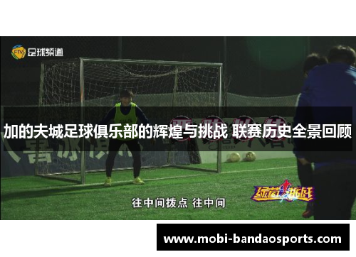 加的夫城足球俱乐部的辉煌与挑战 联赛历史全景回顾