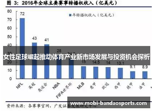 女性足球崛起推动体育产业新市场发展与投资机会探析