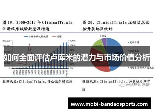 如何全面评估卢库米的潜力与市场价值分析