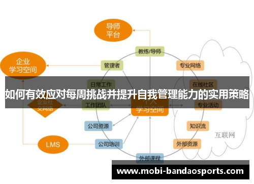 如何有效应对每周挑战并提升自我管理能力的实用策略