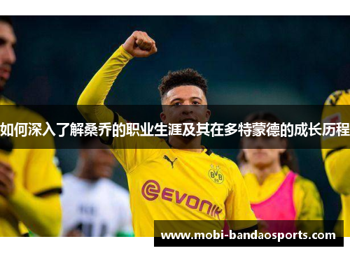 如何深入了解桑乔的职业生涯及其在多特蒙德的成长历程