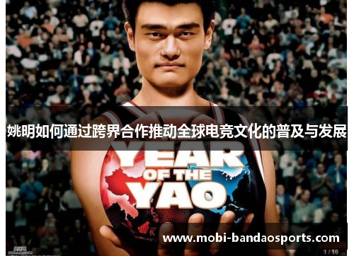 姚明如何通过跨界合作推动全球电竞文化的普及与发展 姚明如何通过跨界合作推动全球电竞文化的普及与发展