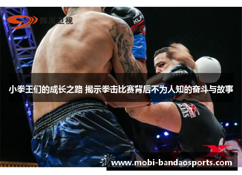 小拳王们的成长之路 揭示拳击比赛背后不为人知的奋斗与故事 小拳王们的成长之路 揭示拳击比赛背后不为人知的奋斗与故事