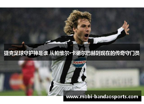 捷克足球守护神是谁 从帕维尔·卡德尔巴赫到现在的传奇守门员