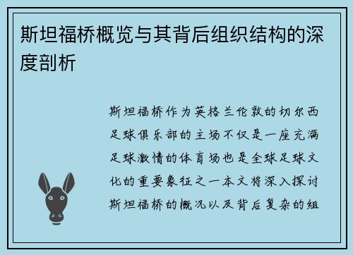 斯坦福桥概览与其背后组织结构的深度剖析 斯坦福桥概览与其背后组织结构的深度剖析